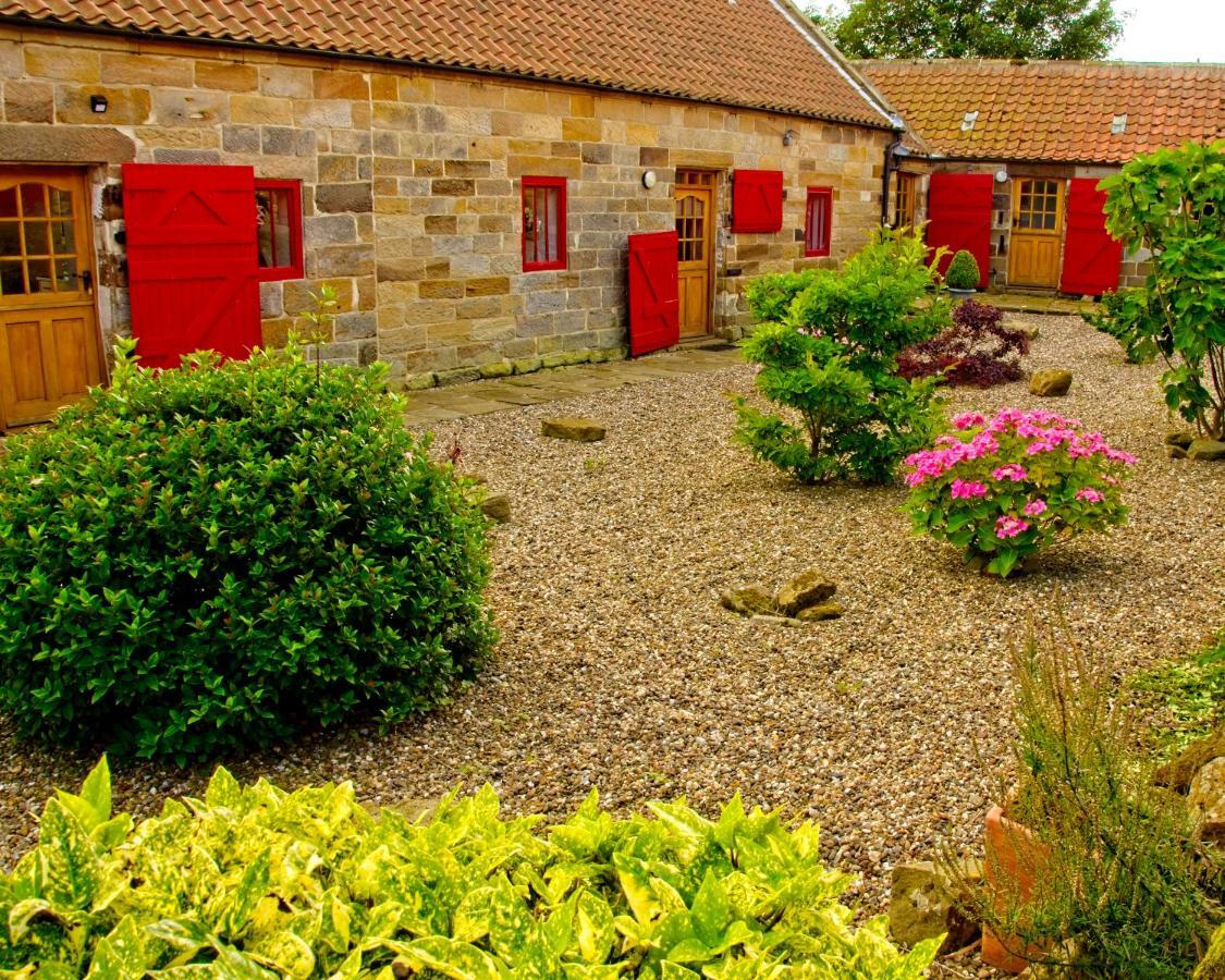 Spangle Cottage, Borrowby Farm Cottages Staithes Exterior photo
