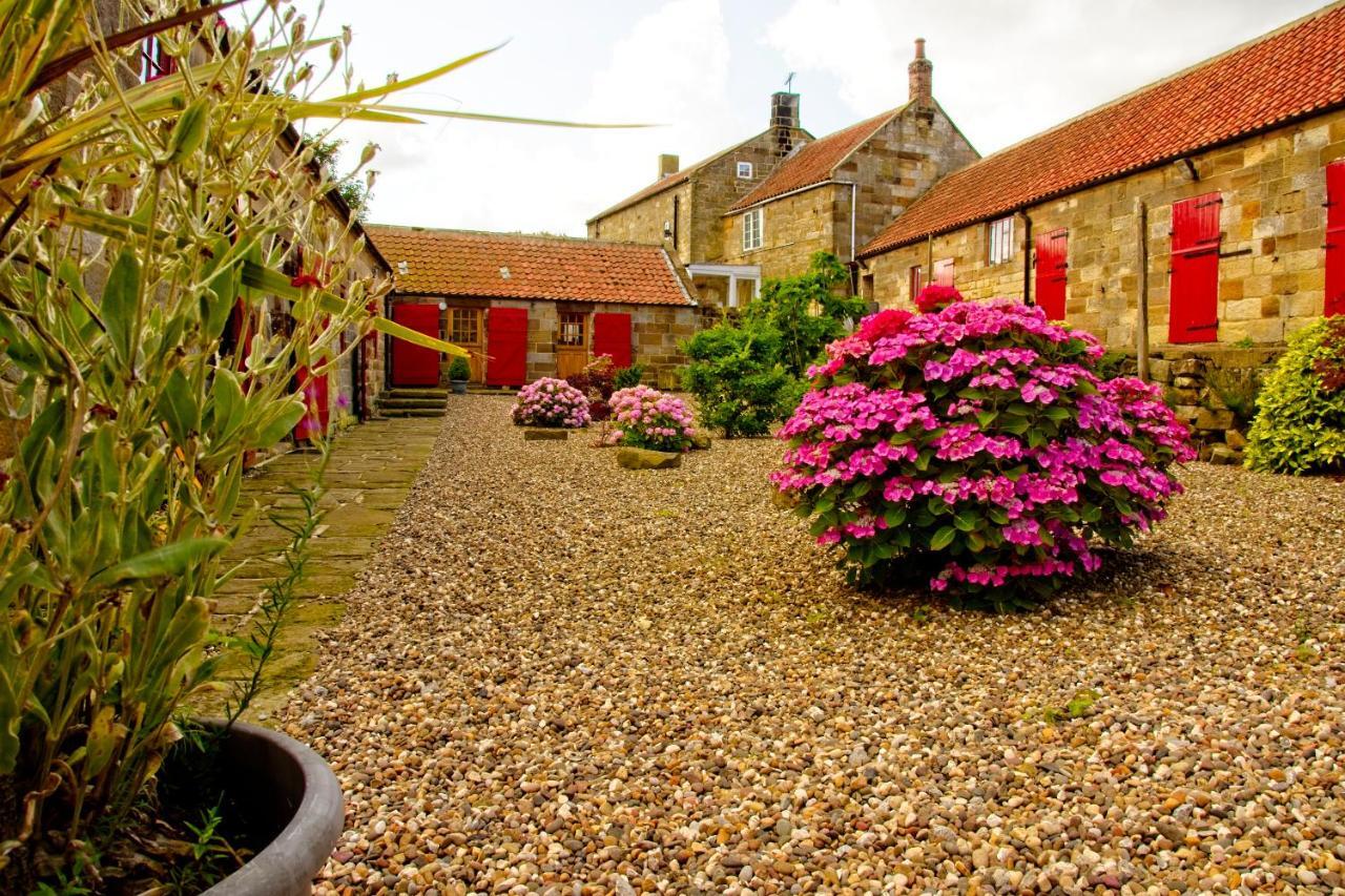 Spangle Cottage, Borrowby Farm Cottages Staithes Exterior photo